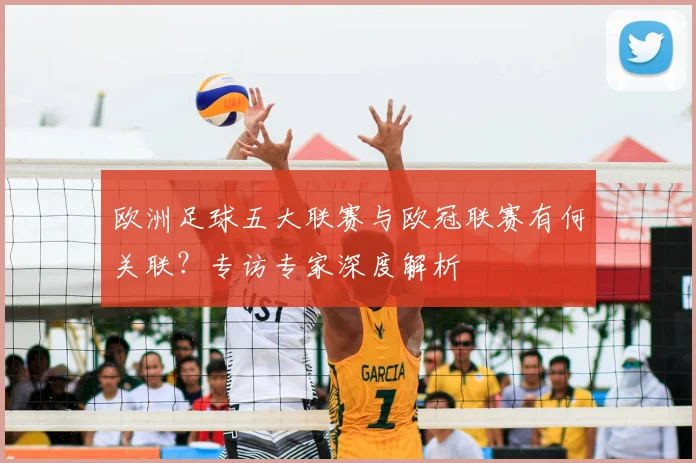 欧洲足球五大联赛与欧冠联赛有何关联?专访专家深度解析